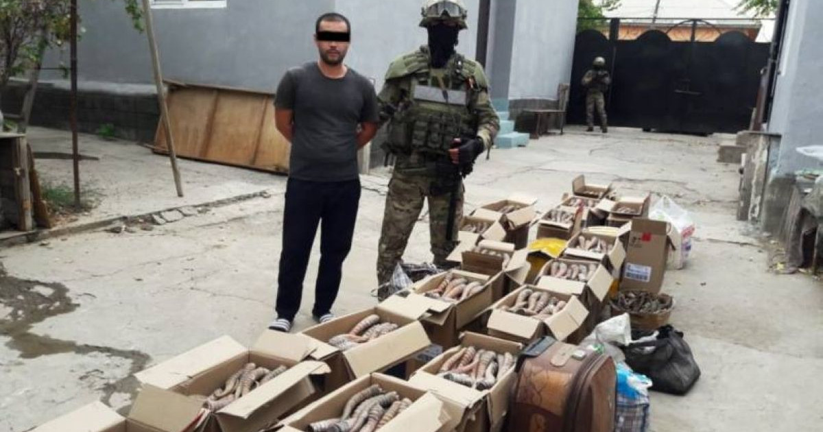 Киік мүйізін Қытайға сатқандар ұсталды