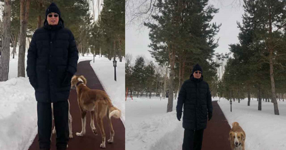 Желіде Тоқаевтың тазымен серуендеп жүрген суреттері жарияланды