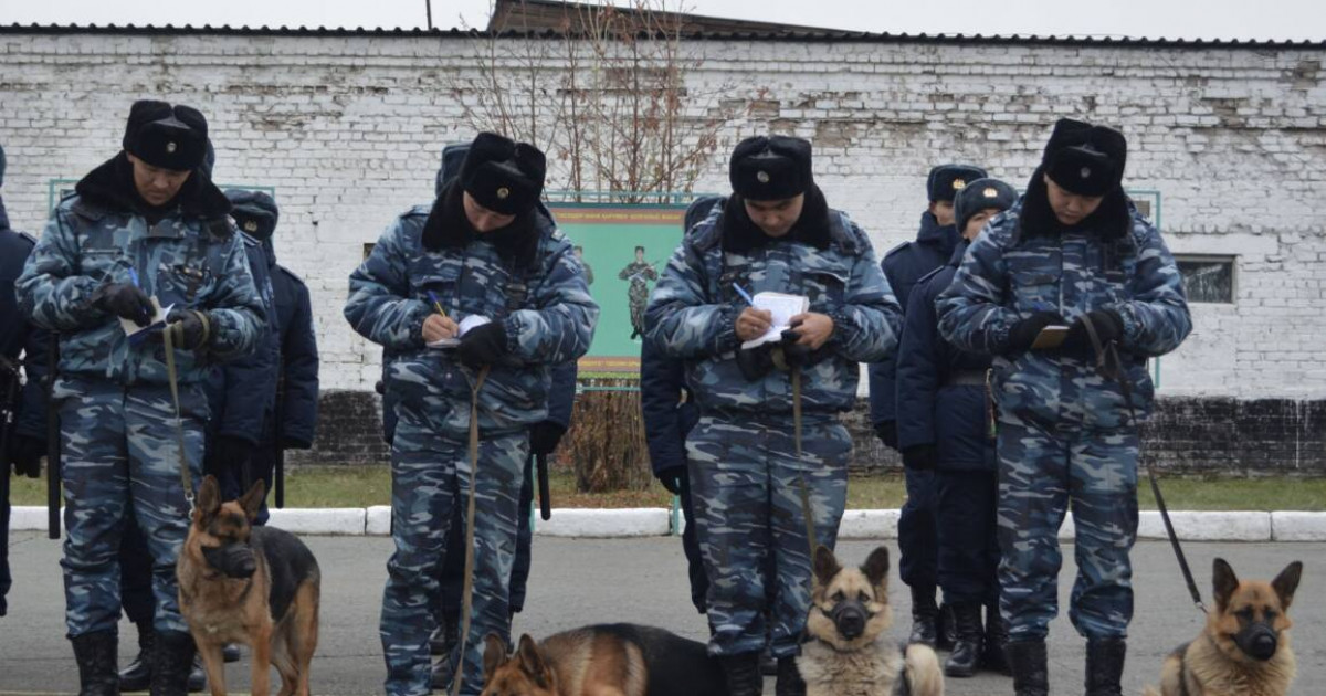 Жатақханадан қашып кеткен студент қыздар табылды