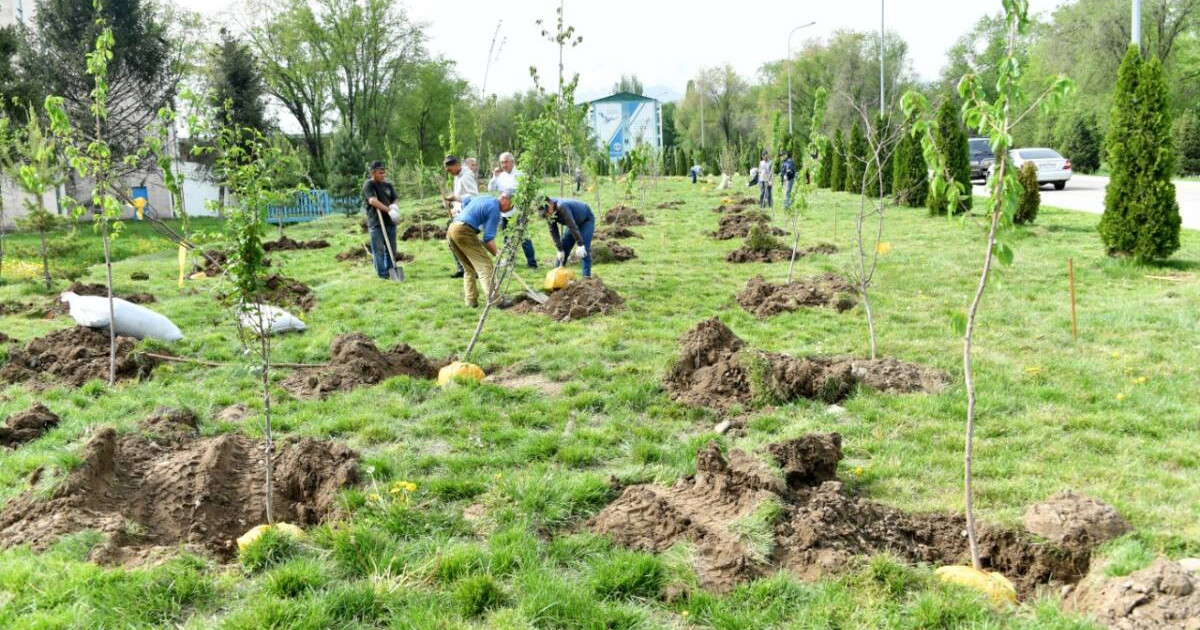 Университет аумағында "Елбасы саябағы" ашылды