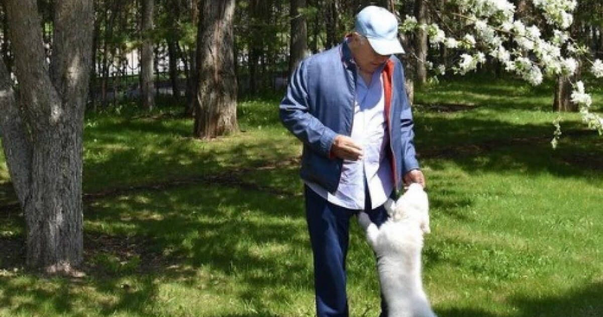 «Адамдардың бәрі ауласына тал ексе...». Нұрсұлтан Назарбаевтың табиғат аясындағы жаңа фотосы жарияланды