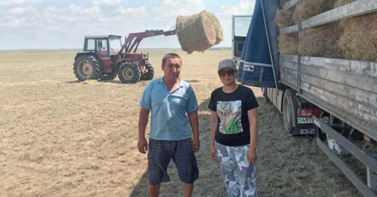 Маңғыстауға жем-шөп жіберуді көпбалалы ана ұйымдастырып жүр