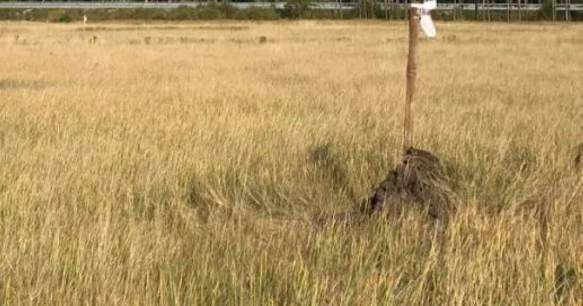 Ақмола облысының әкімдігі бір жер учаскесін екі рет сатқан