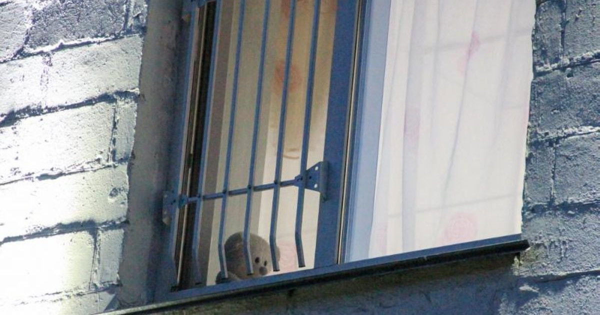 «Өзін-өзі өлтіруге жеткізу» бабымен тергеу басталды: Павлодарда жасөспірім бала өз үйінде өлі табылды
