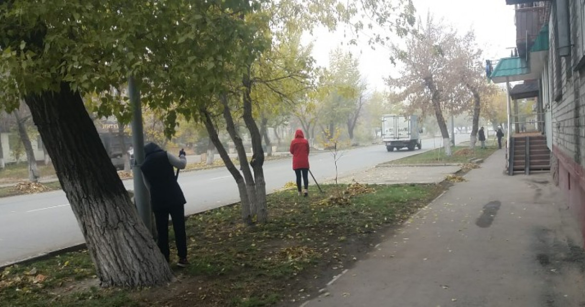 Семейде мұғалімдерді көше сыпыруға жіберген лауазымды тұлғалар жауапкершілікке тартылды