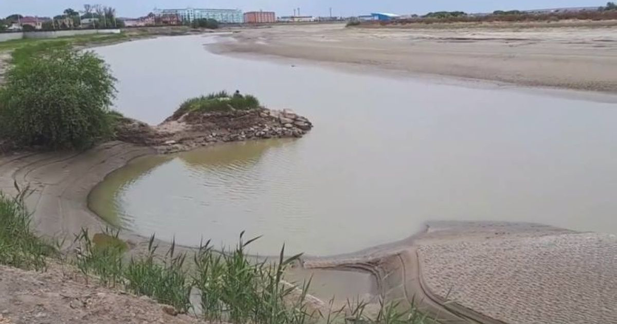 Сырдария суының тартылып жатқанына қатысты мамандар пікір білдірді