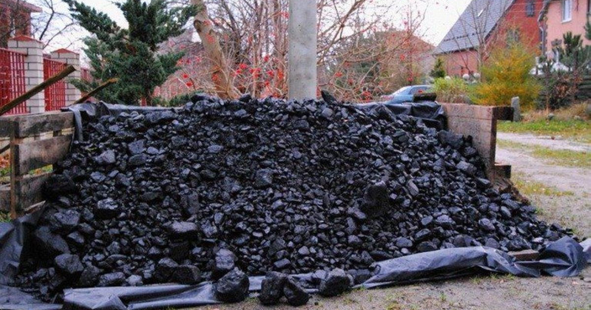 Ресейде вакцина алғандар арасында 3 тонна көмір ойнатылады