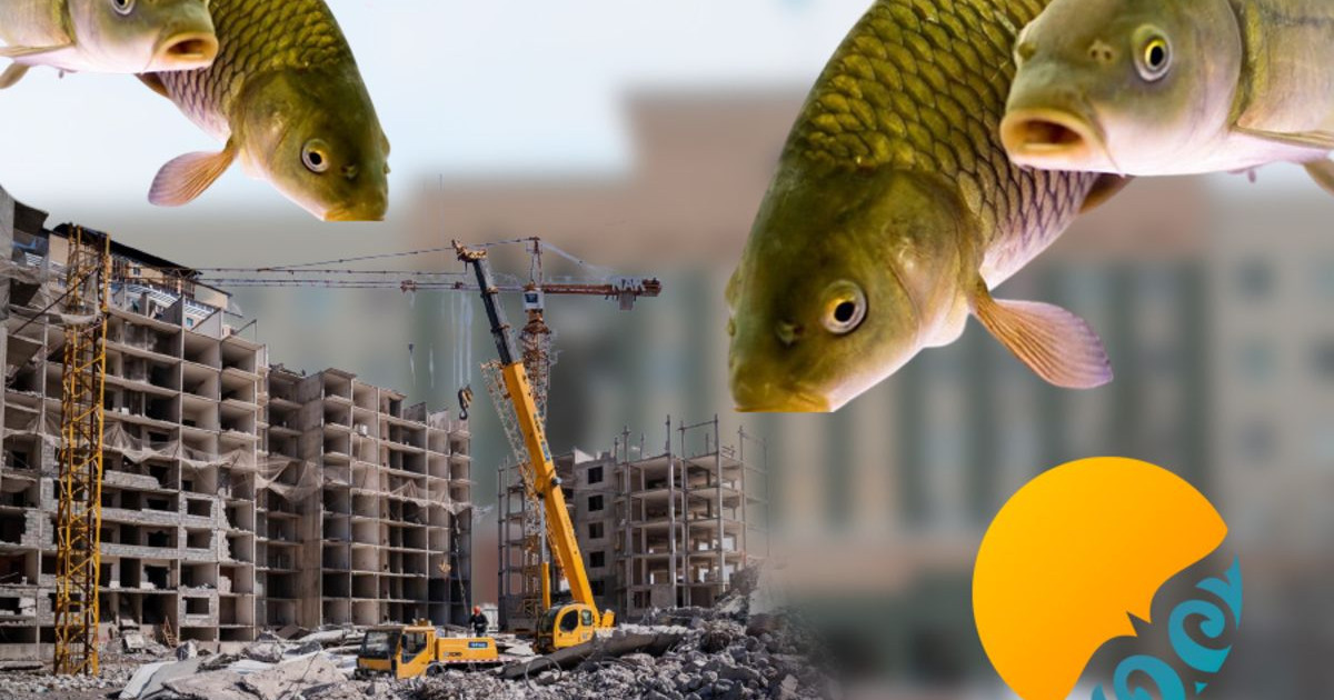 Әкімдік балық өсіруді құрылыс компаниясына тапсырған