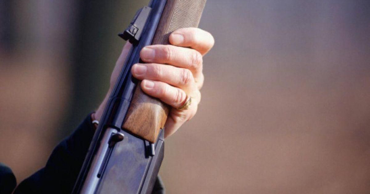Соңғы 3 айда 428 заңсыз қару тәркіленді