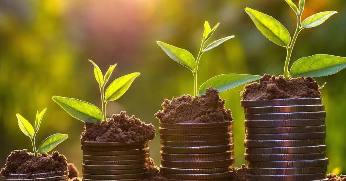 400 млн теңгенің субсидиясын жымқырған пысықай