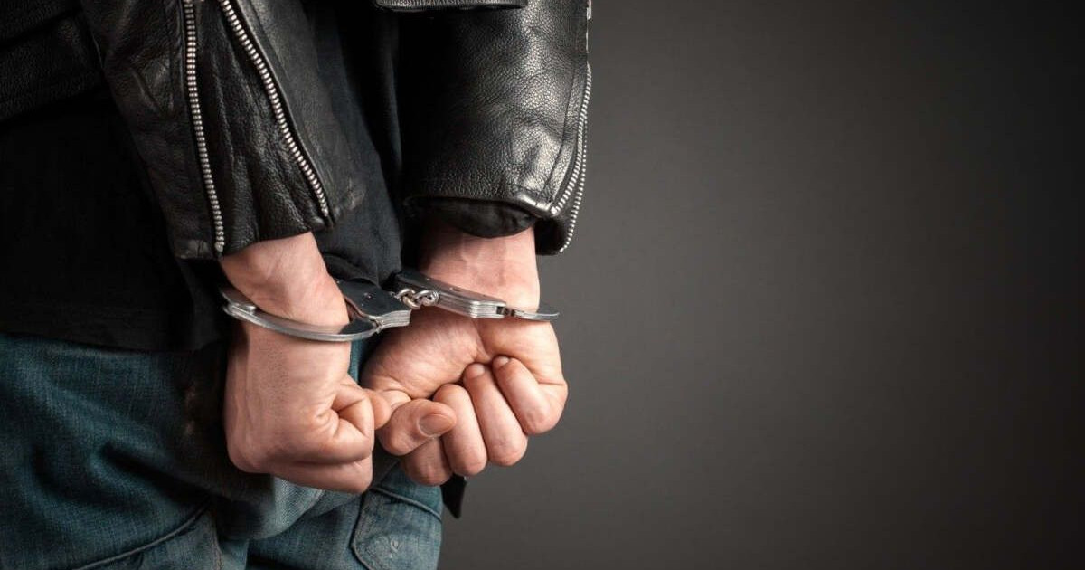 115 жылқы ұрлаған павлодарлық Мәскеуде ұсталды