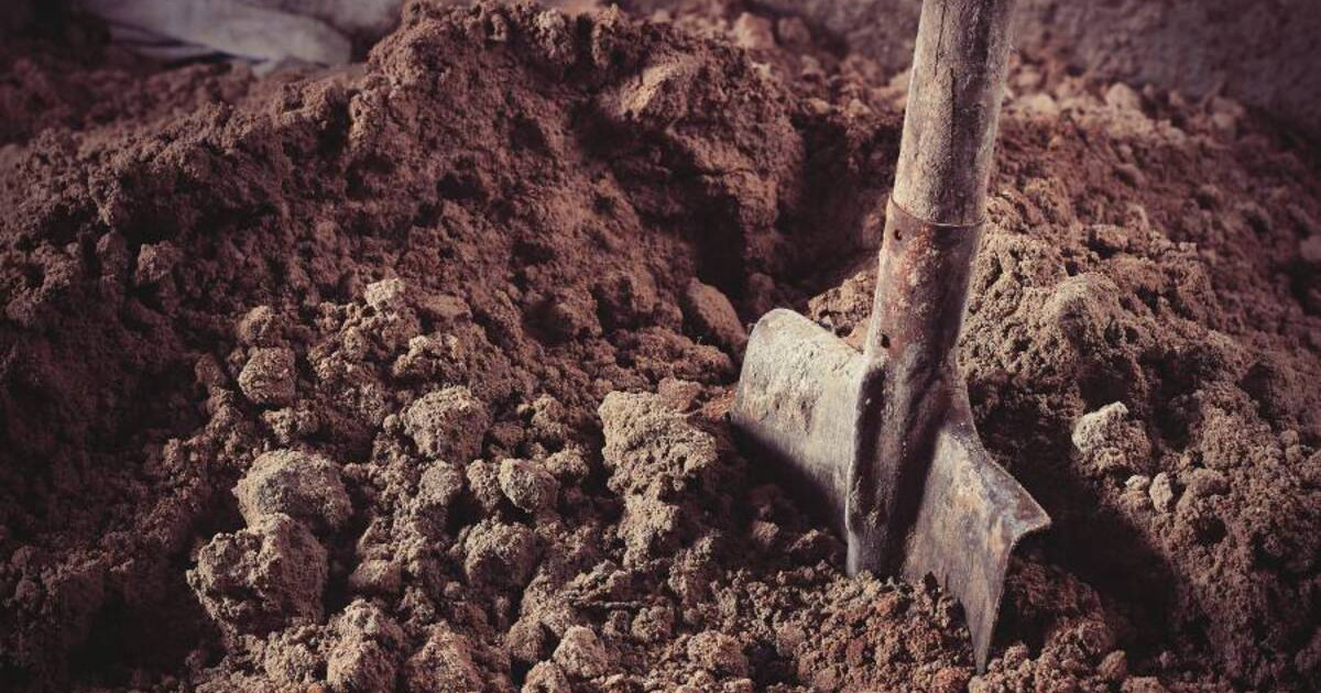 «Ешқашан аштырмаймын»: марқұмның әкесі мүрдеге эксгумация жасауға қарсы