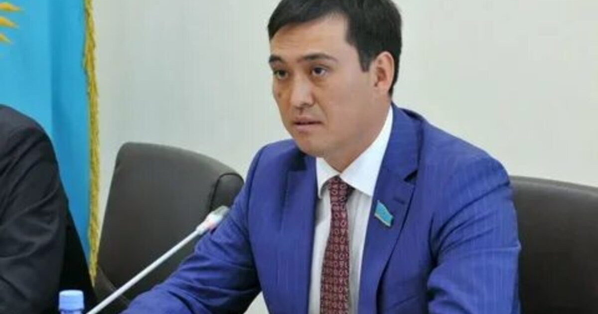 «Nur Otan» партиясының ресурстары Президенттің тұрақтылық тұрғысындағы тапсырмаларын орындауға жұмылдырылды – депутат
