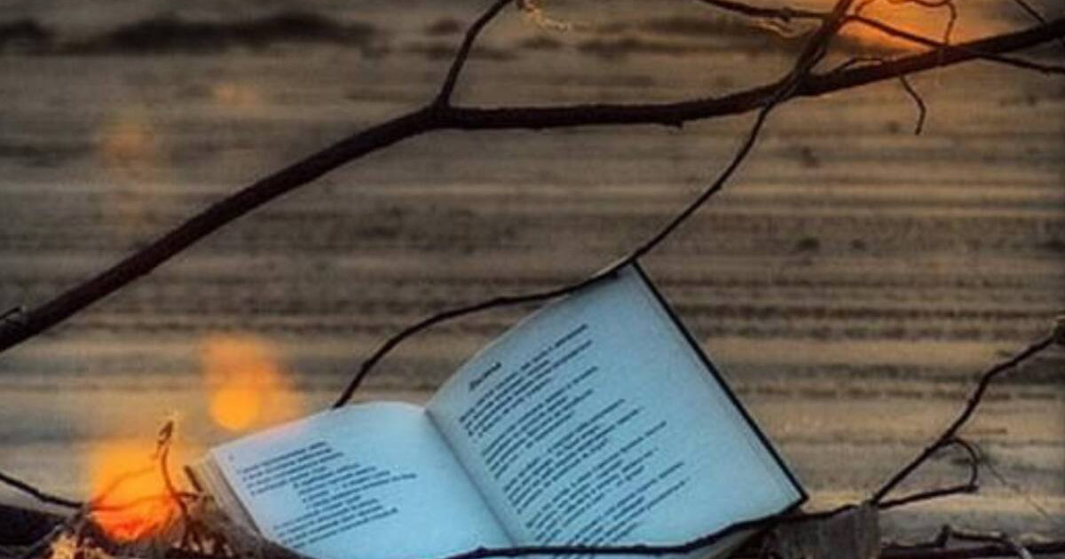 Өлеңнің обалы бар, зауалы да