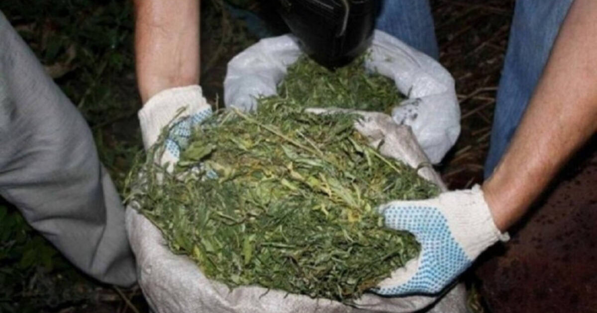 Жамбылда үйінде 60 келіге жуық есірткі сақтаған ер адам ұсталды (ВИДЕО)