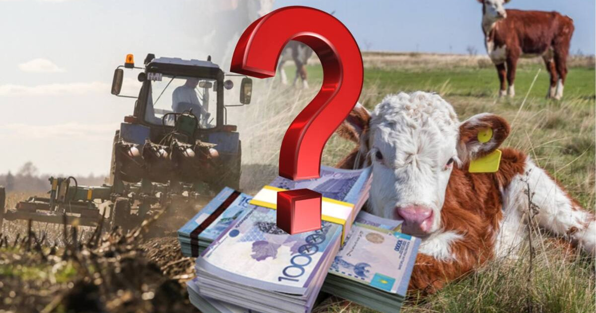 Субсидияның сұрауы кімнен?