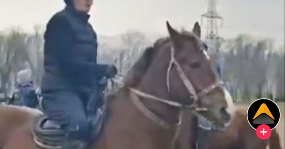 Дәурен Абаев көкпаршы орыс қызына араша түсті (ВИДЕО)