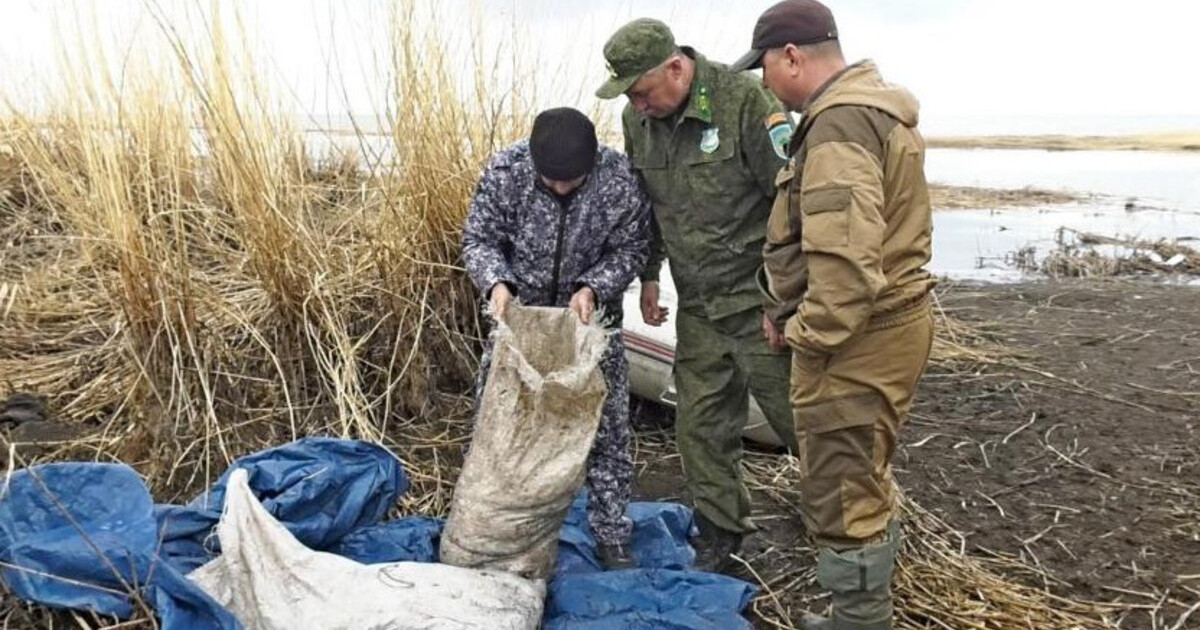 ШҚО-да сәуірден бері заңсыз балық аулаудың 195 фактісі анықталды