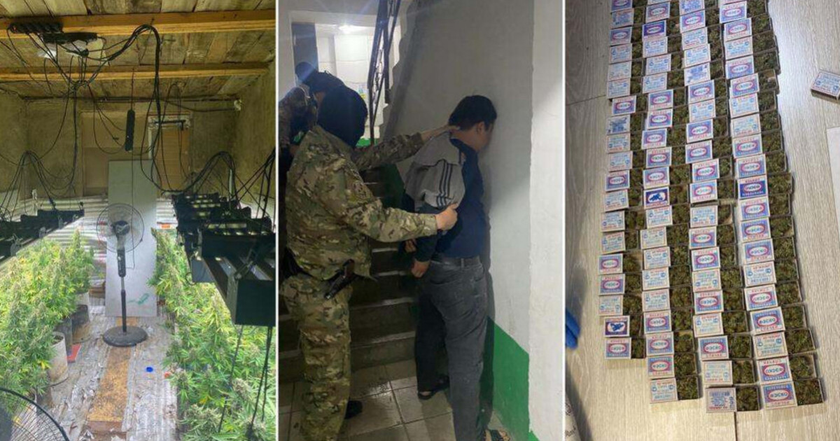 Ақмола облысында жасырын есірткі зертханасы жойылды