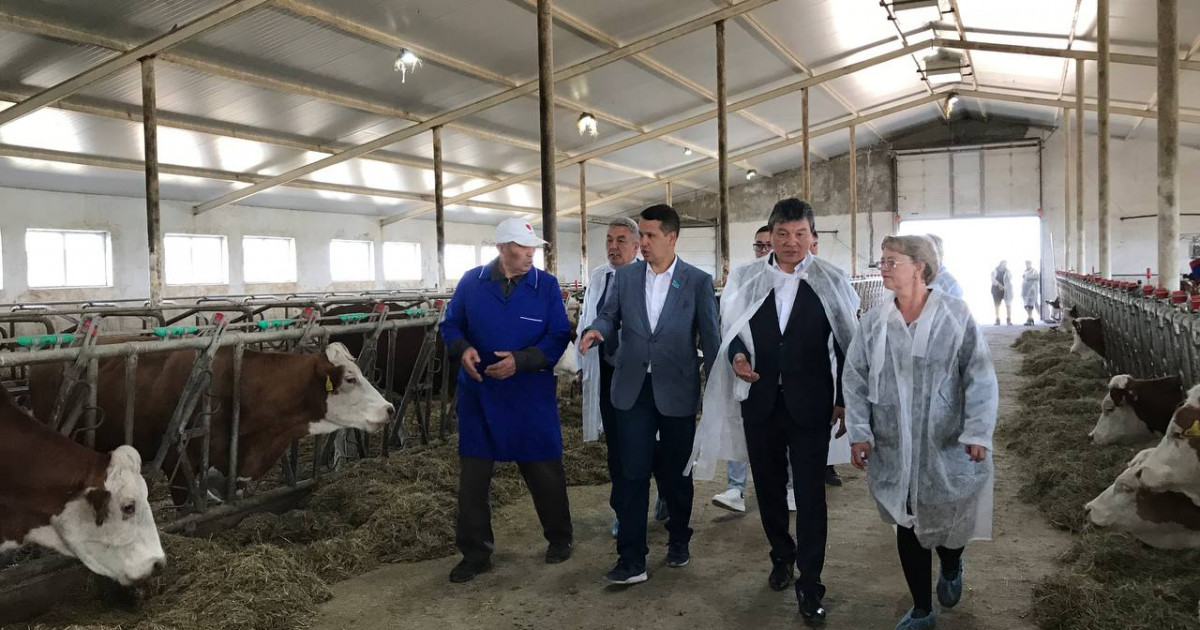 «AMANAT» партиясының Мәжіліс депутаттары: Референдумда халық даусы шешуші рөл атқарады