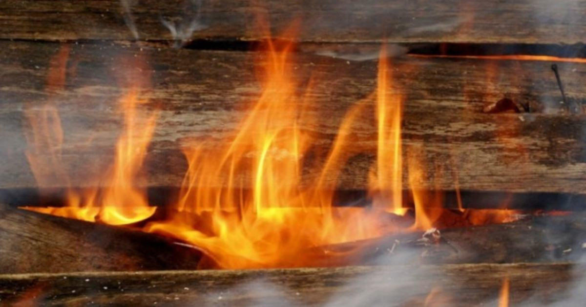 17 жастағы қызды өлтіріп, мәйітін өртеп жіберген