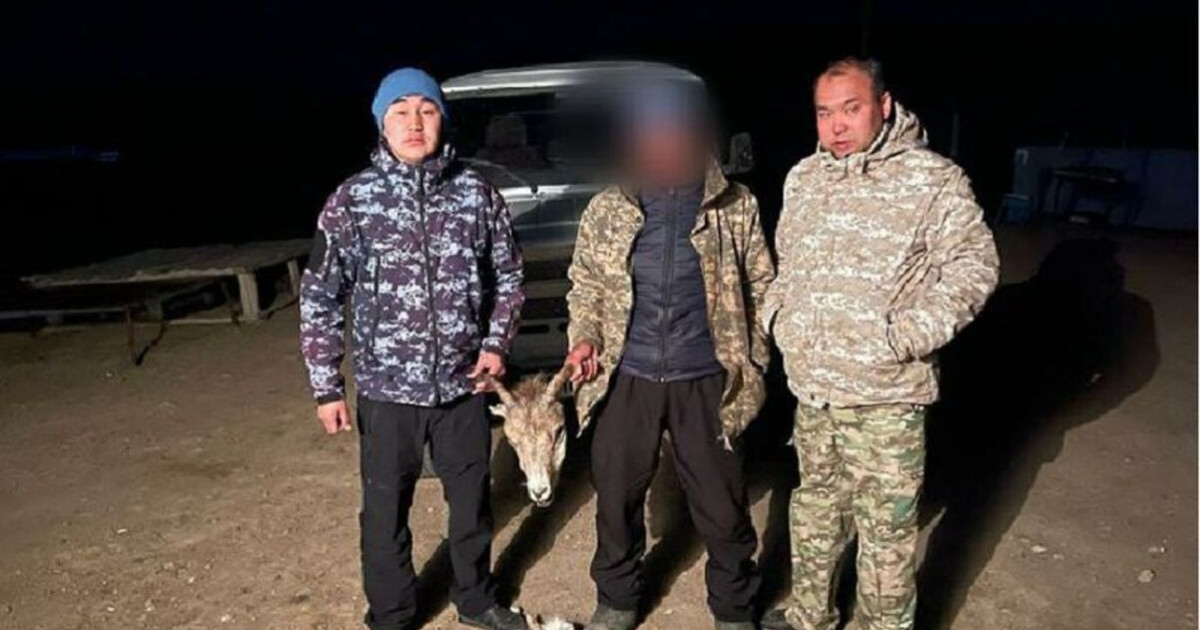 «13 миллион теңге шығын келді»: заңсыз аң атқан браконьер ұсталды