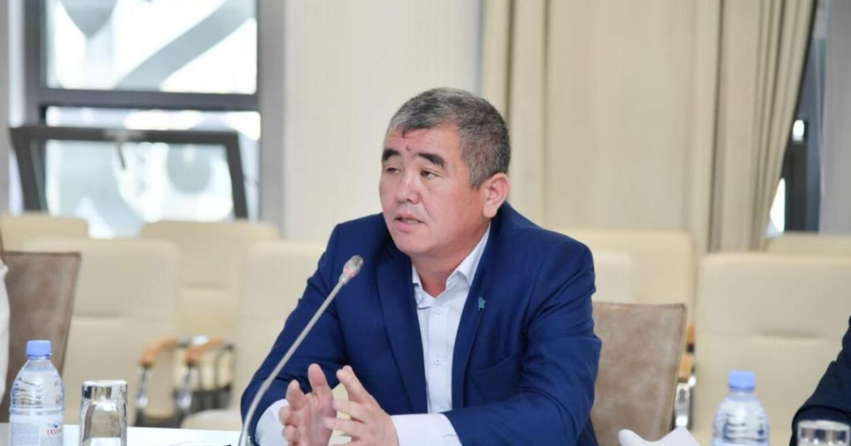Жаңа Қазақстанның мақсаты – халықтың пікірімен санасу – Ғалымжан Елшібай