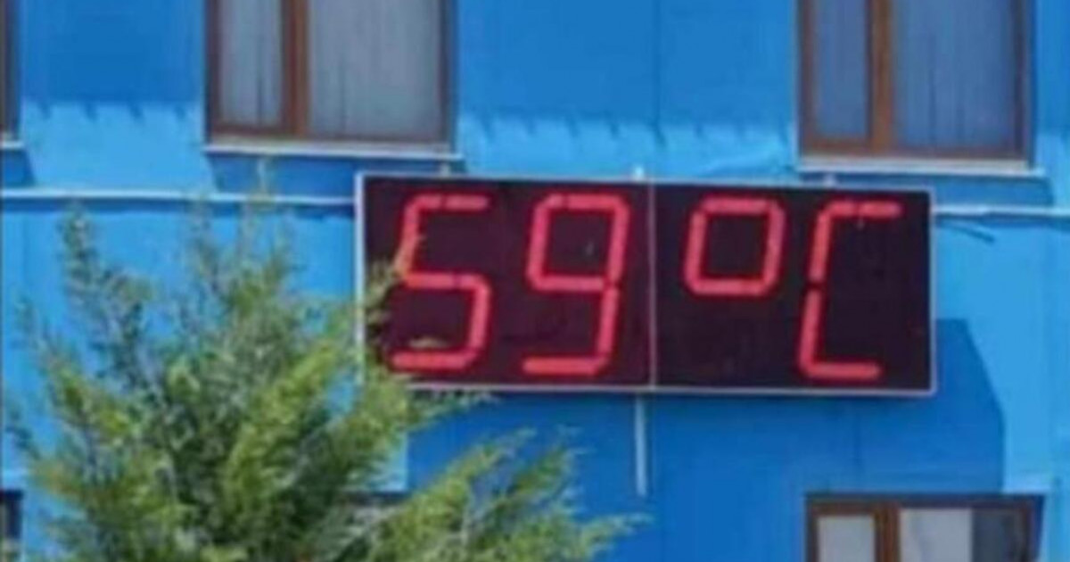 Созақта 59 градус ыстық болды