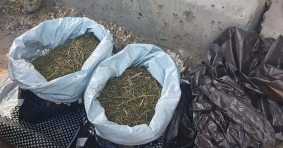 Шымкентте есірткі саудалағандар ұсталды