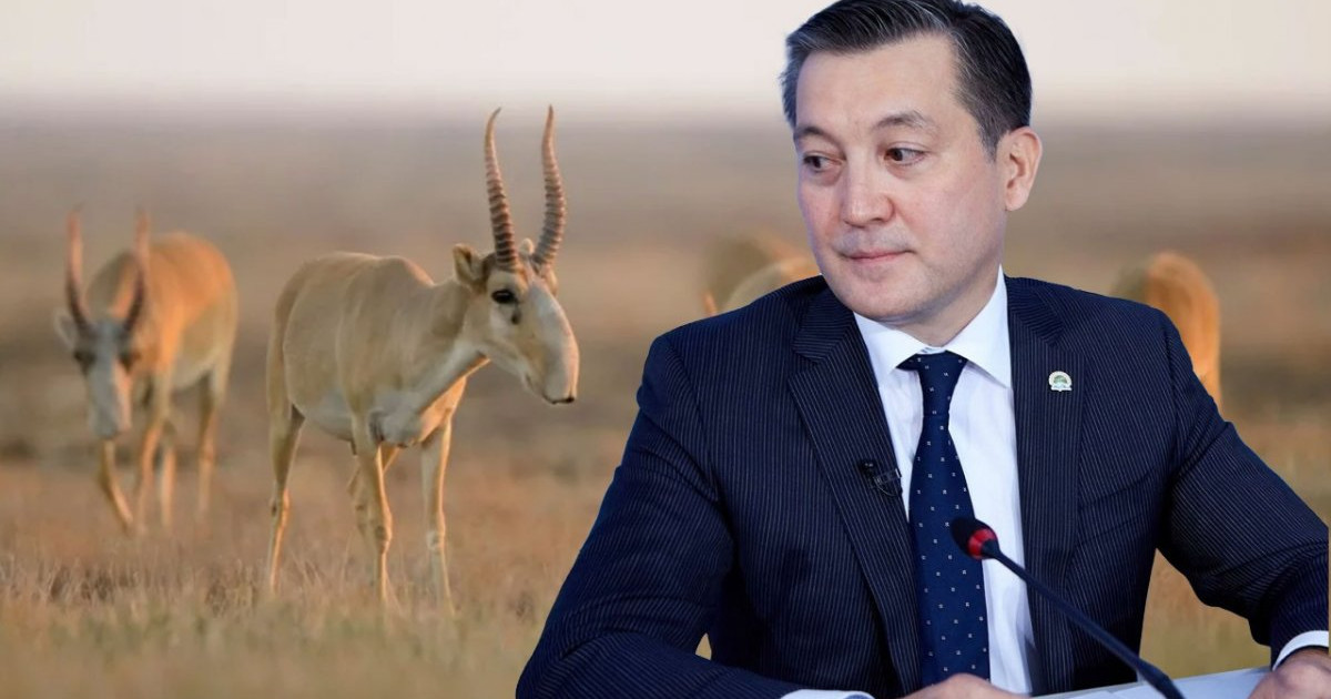 Серікқали Брекешев биыл еңбек демалысына шықпайтынын айтты