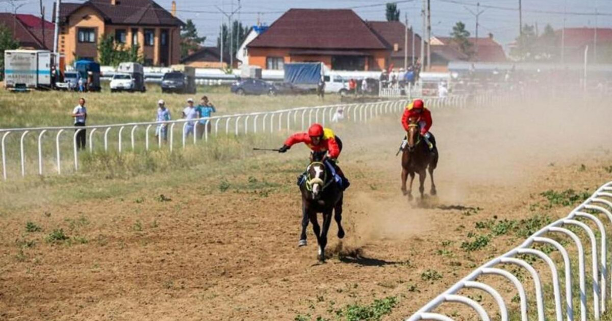 Павлодар қаласында бәйгеден ел чемпионаты өтеді