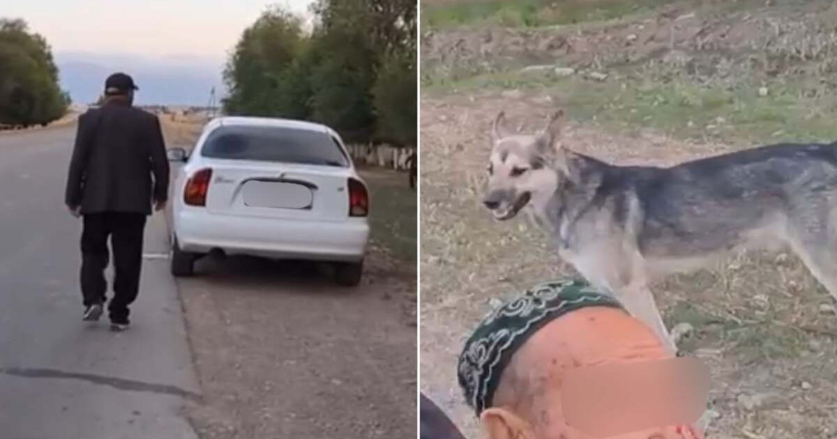 Велосипедтегі қарияны қағып кеткен жүргізуші ұсталды