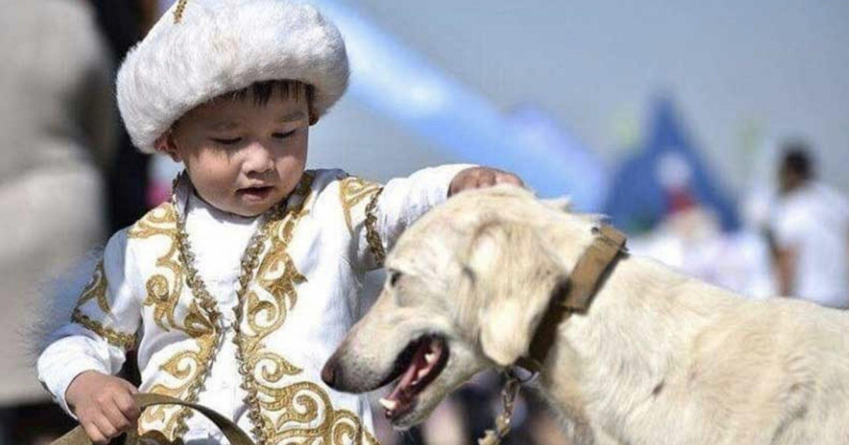 Ұлыңыз ер мінезді болып өссін десеңіз – маман кеңесі