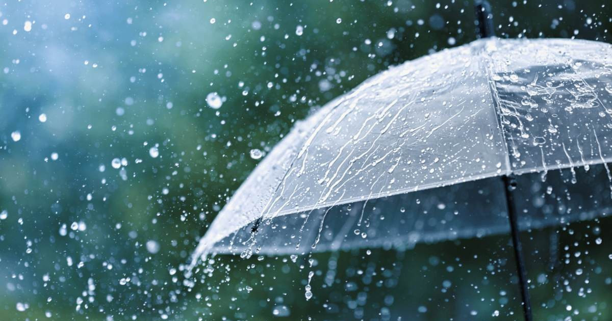 Үсік, жел: бірнеше өңірде дауылды ескерту жарияланды