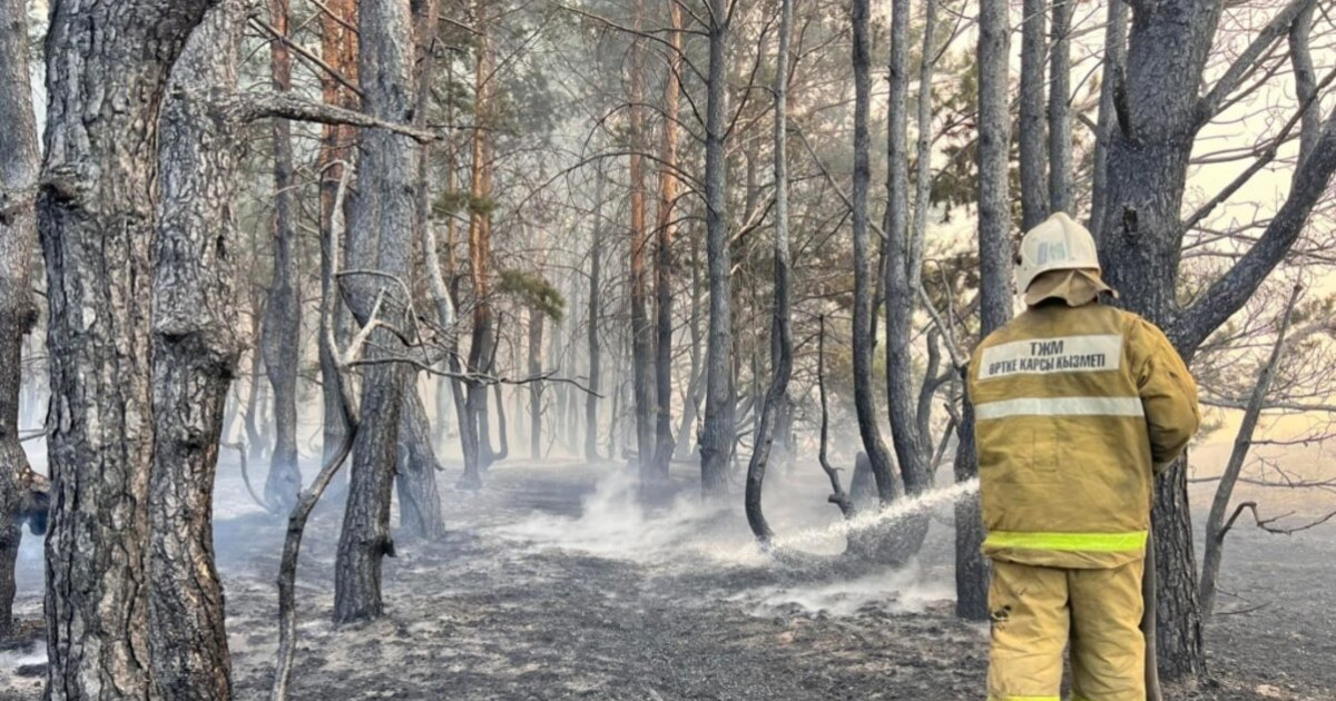 Қостанай облысындағы қазіргі жағдай