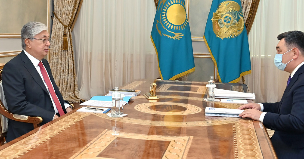Мемлекет басшысы Түркі академиясының президентін қабылдады