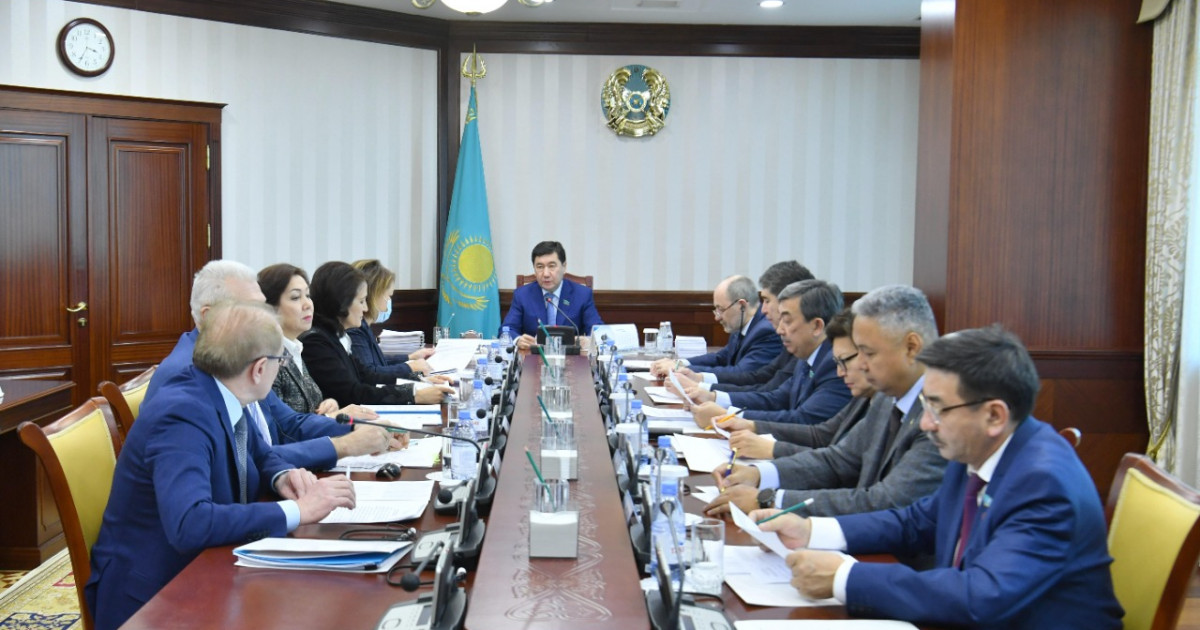 Мәжіліс қоғамдық бақылау және цифрлық активтер туралы заң жобаларын қарайды