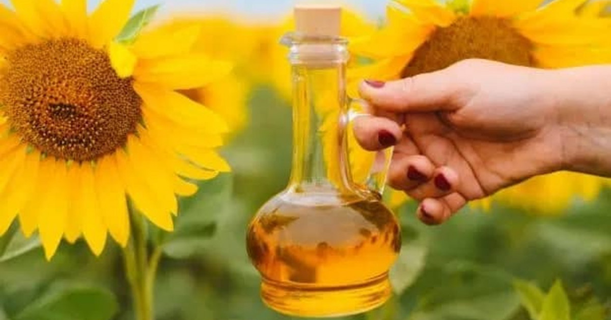 Күнбағыс майын өндіру 62% артты