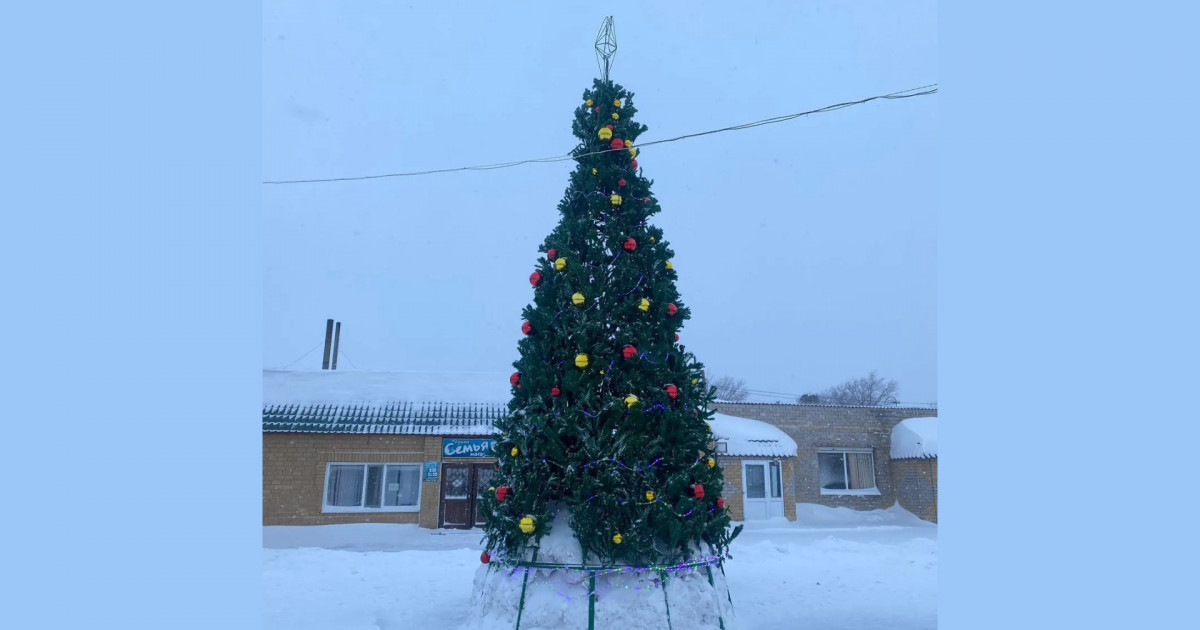 Павлодар облысындағы жаңажылдық шыршаға 7,8 млн теңге бөлінген