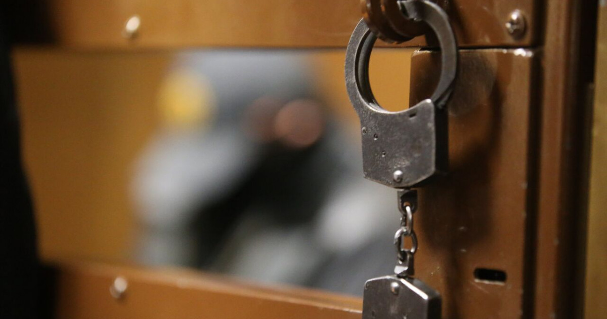 Ресейде Жириновскийдің ұлы қамауға алынды