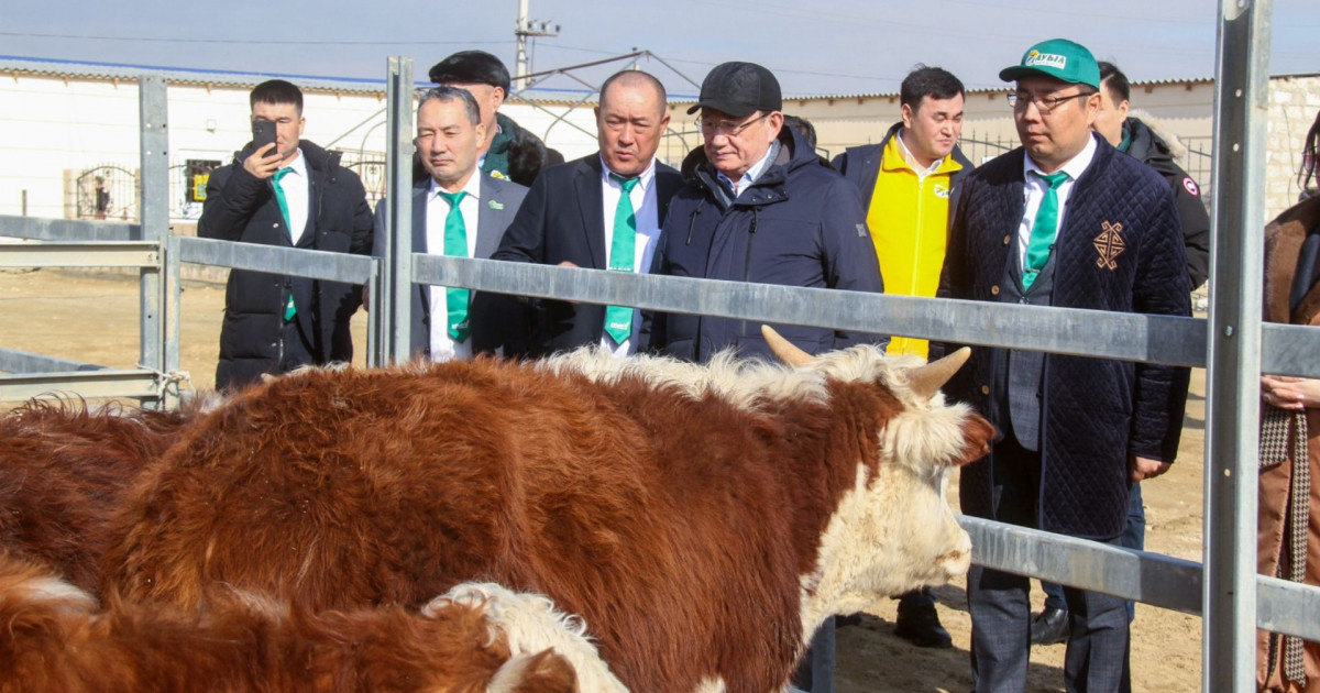 Ауыз су мәселесі – Маңғыстау облысының басты мәселелерінің бірі