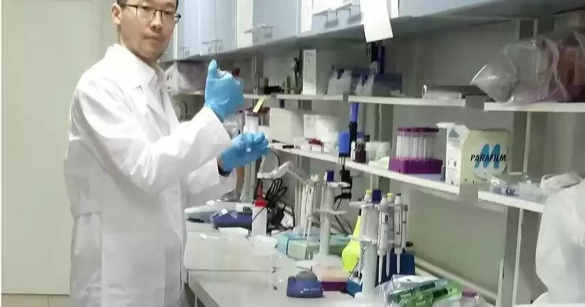 Қазақ ғалымы тіс ауруын бұрғылаусыз емдейтін технология ойлап тапты
