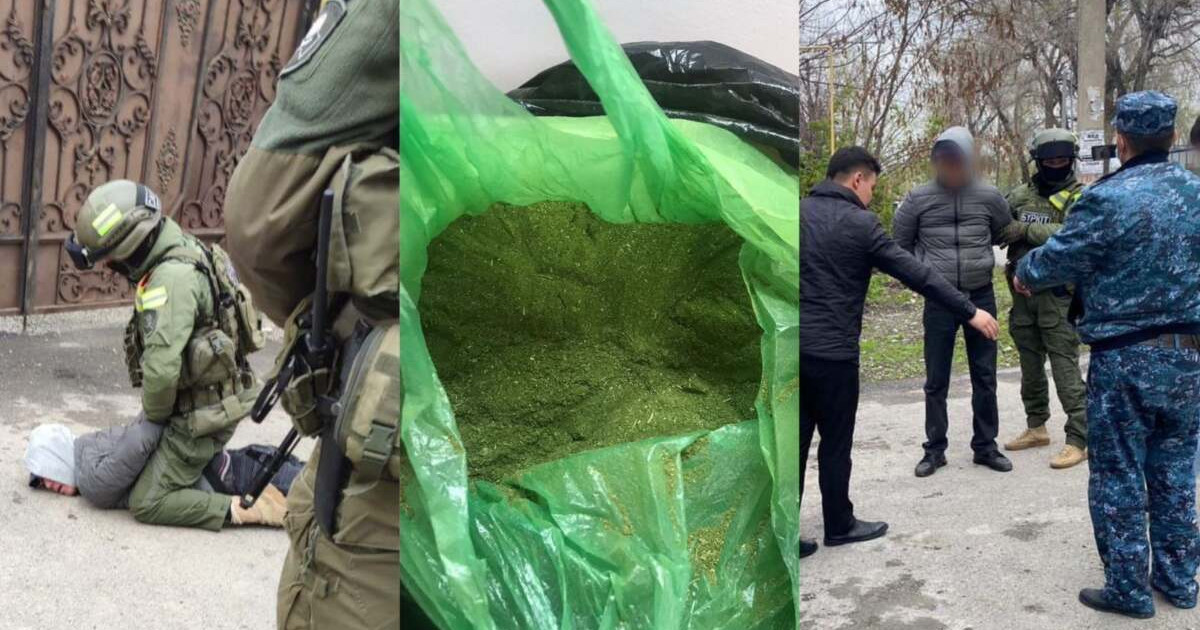 Үйіне гашиш жасырған Талдықорған тұрғыны ұсталды