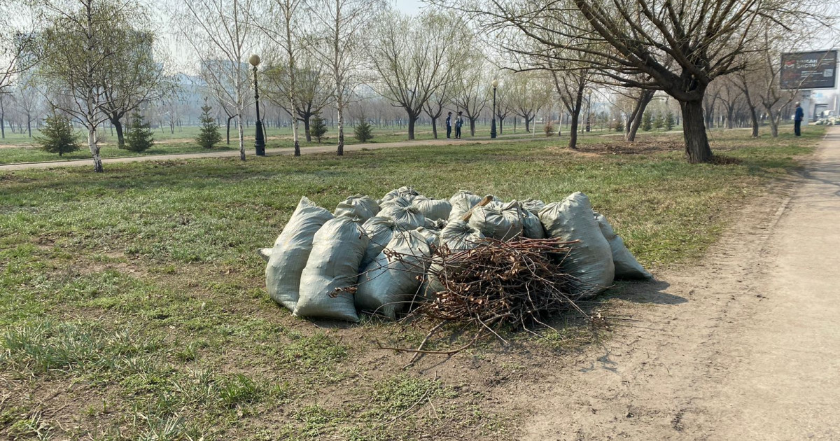 Бүгін Астанада жалпықалалық сенбілік өтті