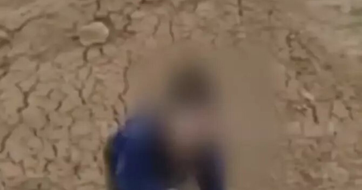 «Атамды шығарыңдар»: мазардағы баланың әрекеті көптің талқысына түсті