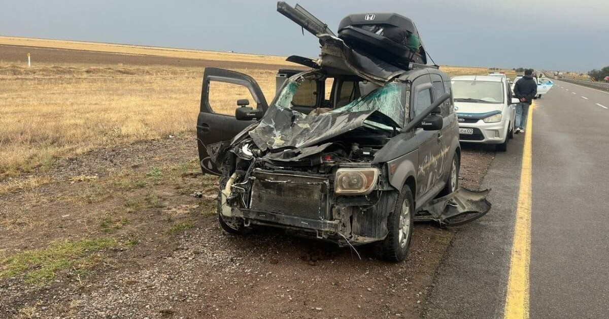 Жетісу облысында көлік жылқыға соғылып, бір адам қаза тапты