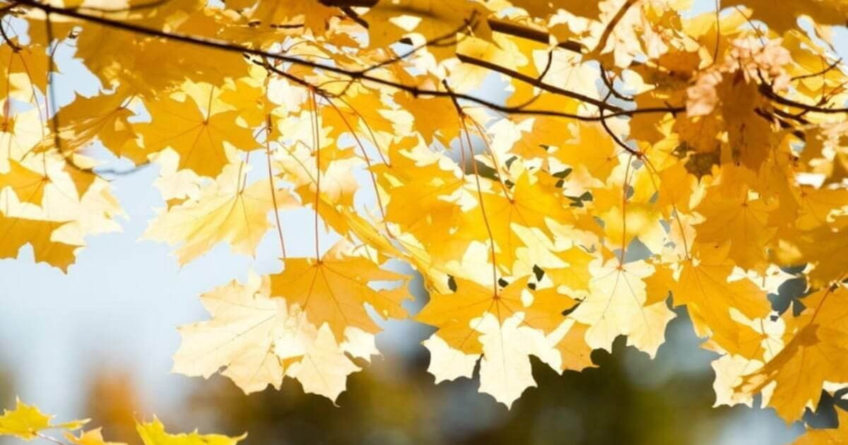 22 қыркүйекке арналған ауа райы болжамы