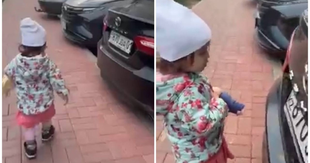 Туды көргенде Әнұран айта жөнелген бүлдіршін елді сүйсінтті (ВИДЕО)