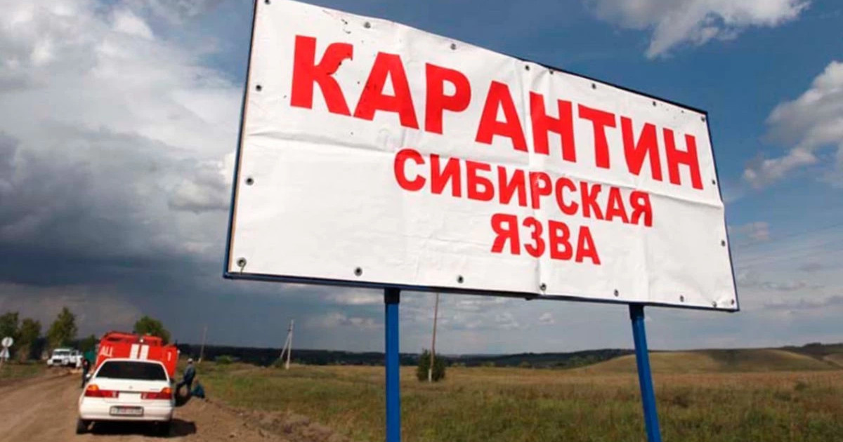 Ақмола облысында сібір жарасын жұқтырғандар көбейді