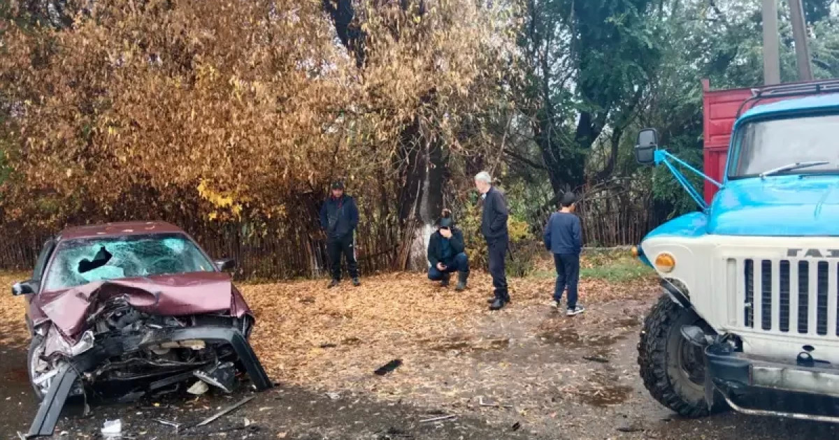Жетісу облысында көлік апатынан 9 адам зардап шекті